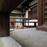 Photo d'un chat dans un temple japonais
