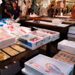 Photos du marché aux poissons de Tsukiji