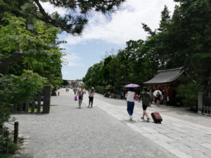 L'allée principale du Tsurugaoka Hachiman-gū.