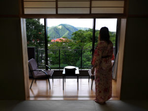 La vue sur la montagne depuis la chambre au ryokan...