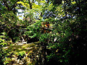 Une végétation luxuriante nous attend sur le chemin de l'ancienne maison japonaise